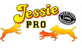 Jessie Pro